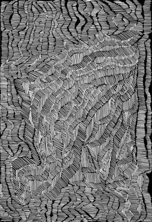 100x73cm, white pencil on black card